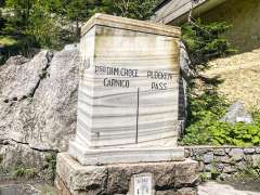 260801_accademiadelleerbe
