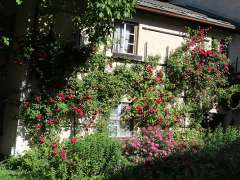 bergsteigerdorf_rundgang_sommer